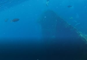Bali Adventures Week 4 – Searching for Treasure and Snorkeling for Shipwrecks | Nadia La Russa
