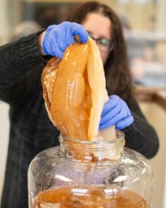 Let's Learn About SCOBY | Nadia La Russa